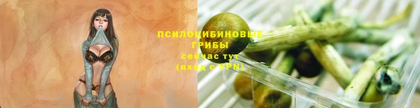 Альфа ПВП Беломорск